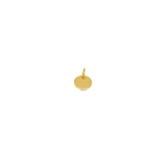Charm MINI DISC - Gold - MOOPSCH-NT-004