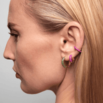 Immagine diapositiva