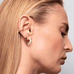 Immagine diapositiva