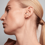 Immagine diapositiva