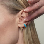 Immagine diapositiva
